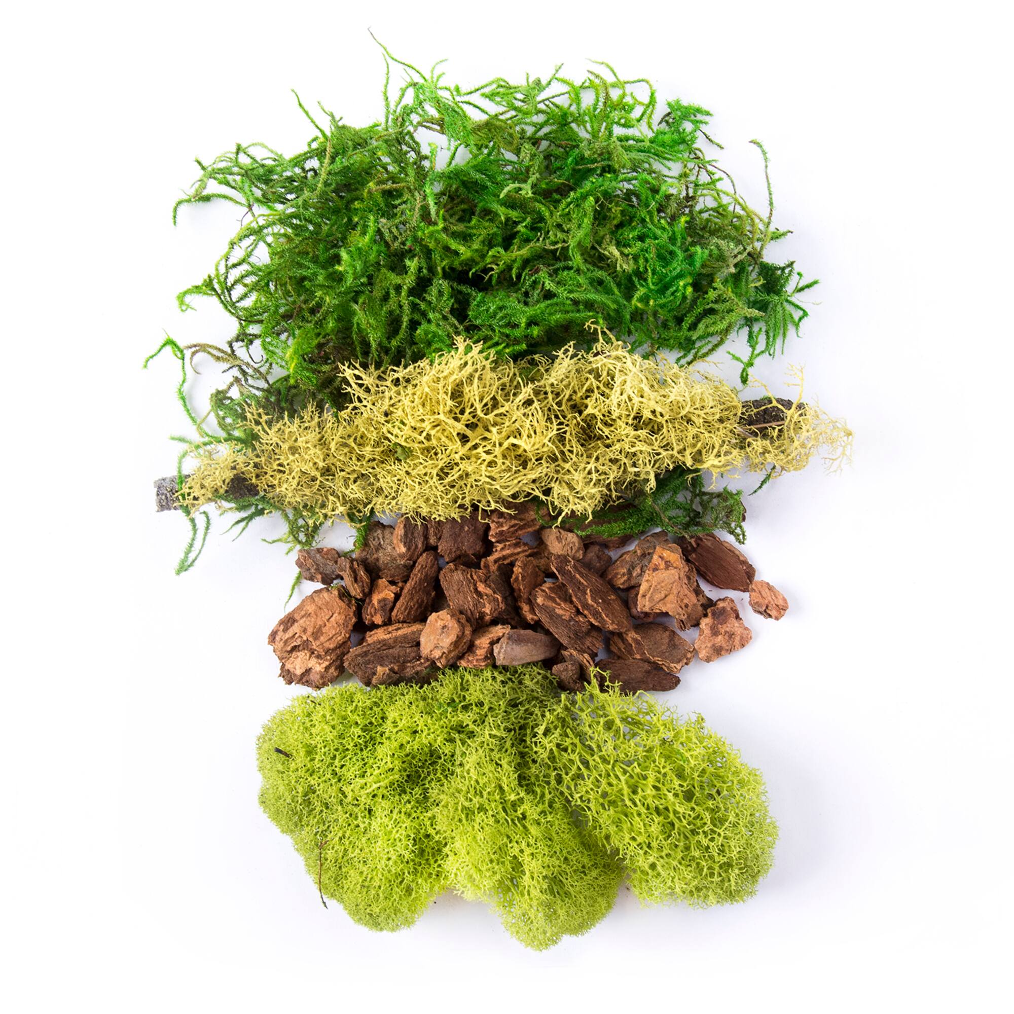 24 Pack: SuperMoss® Preserved Mixed Moss